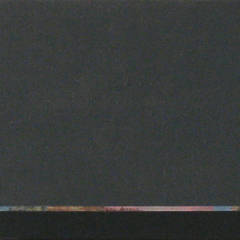 2008, oil and paper on canvas