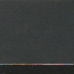 2008, oil and paper on canvas